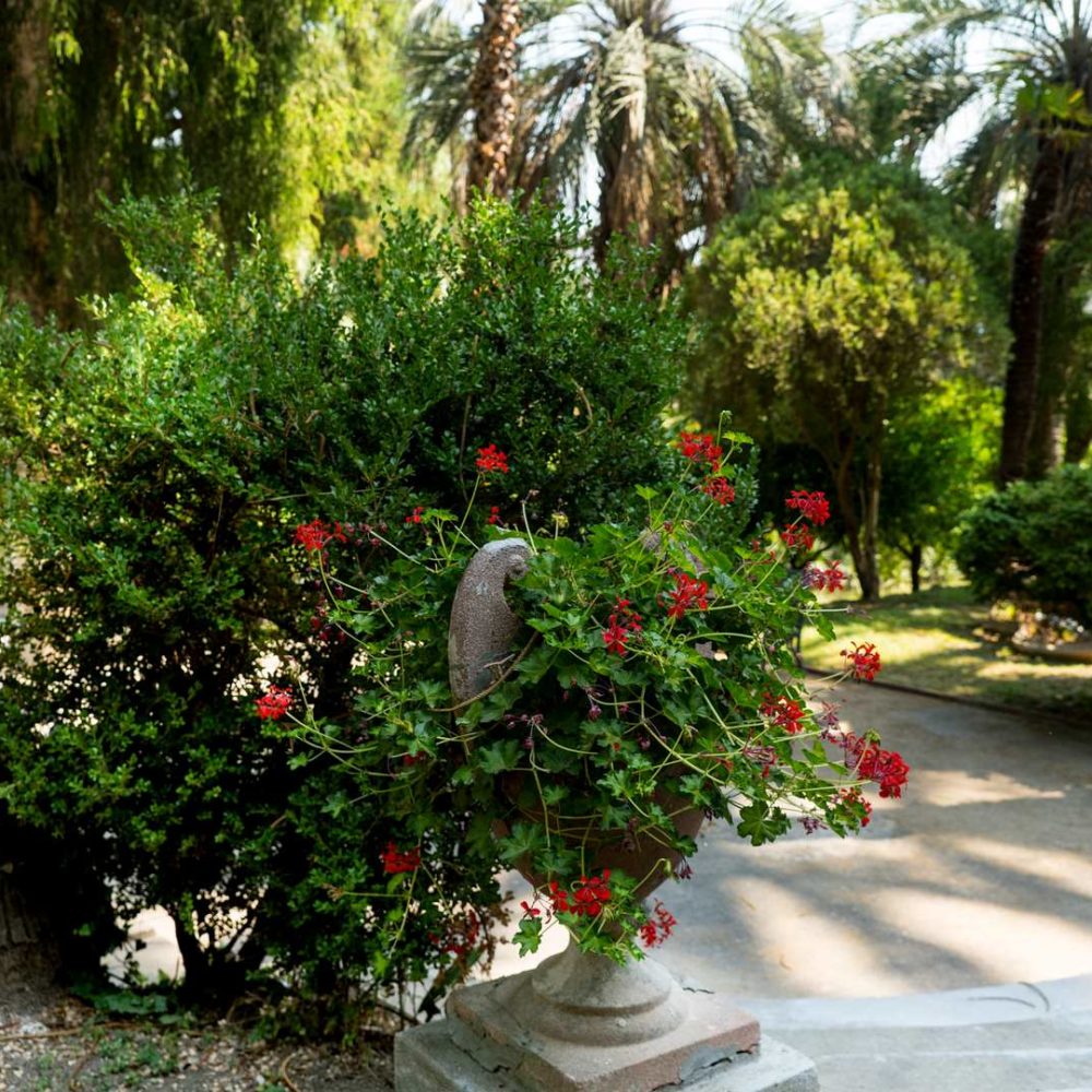 Du-Parc-Boutique-home_31